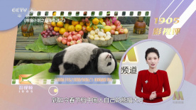 国产美女被遭强高潮免费网站